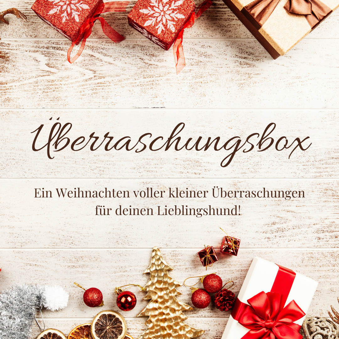 Überraschungsbox