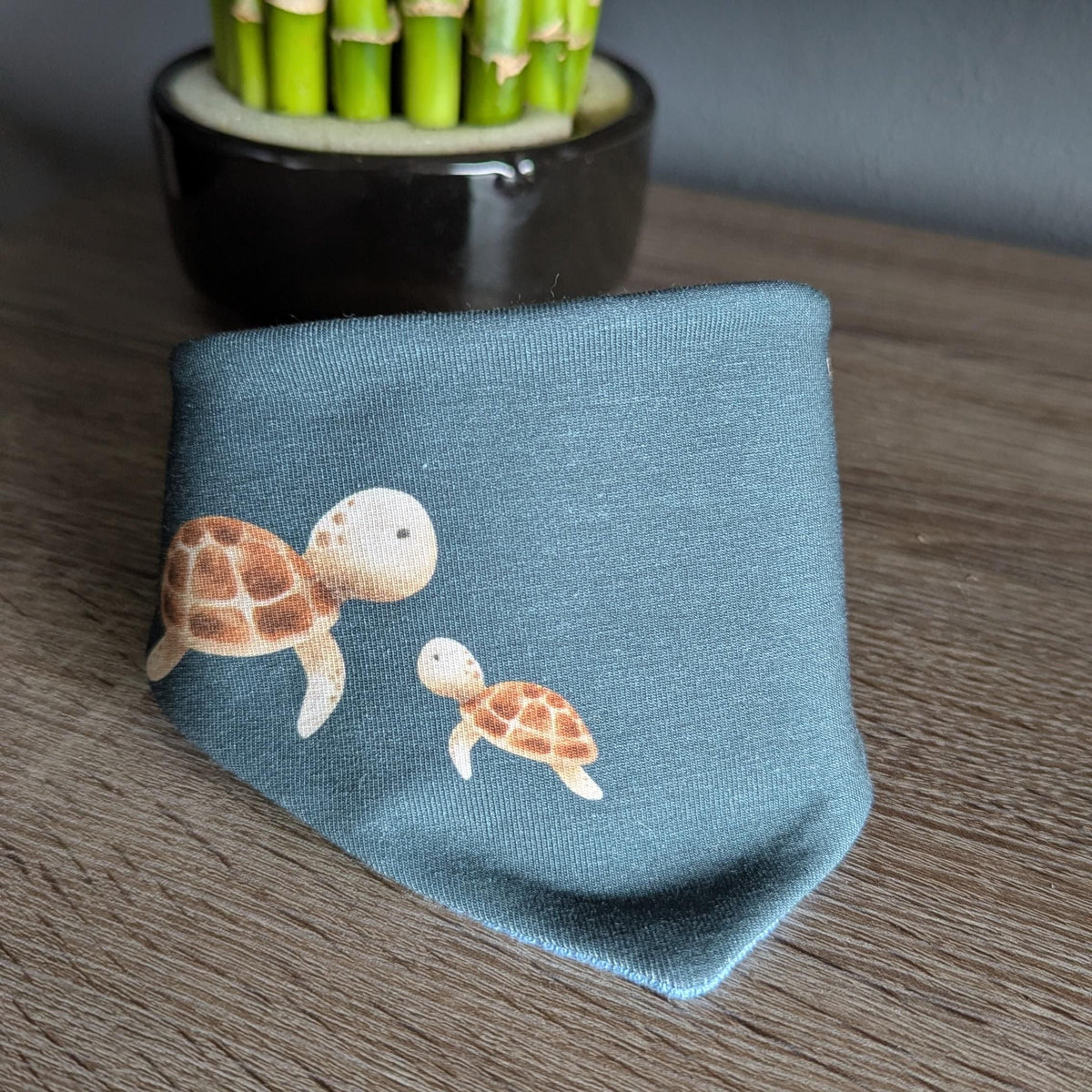 Schildkröte