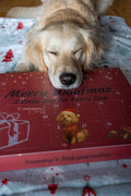 Adventskalender Finley