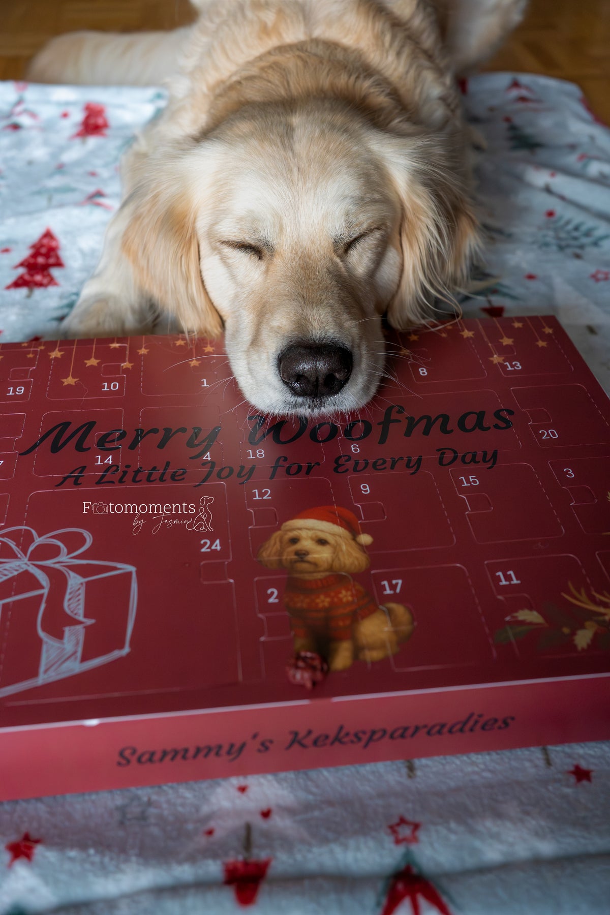 Adventskalender Finley